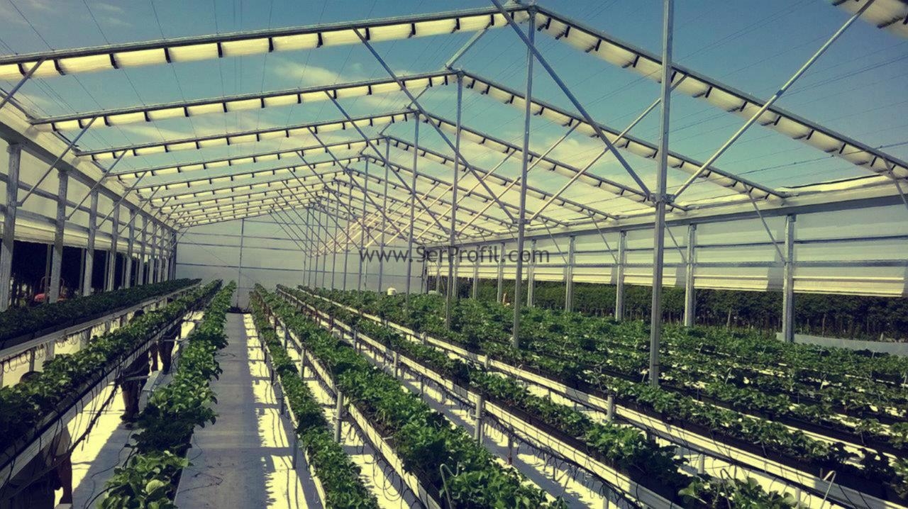 Sera Projesi Çizimleri Sera Proje Hazırlama Sera Maliyet Hesapları