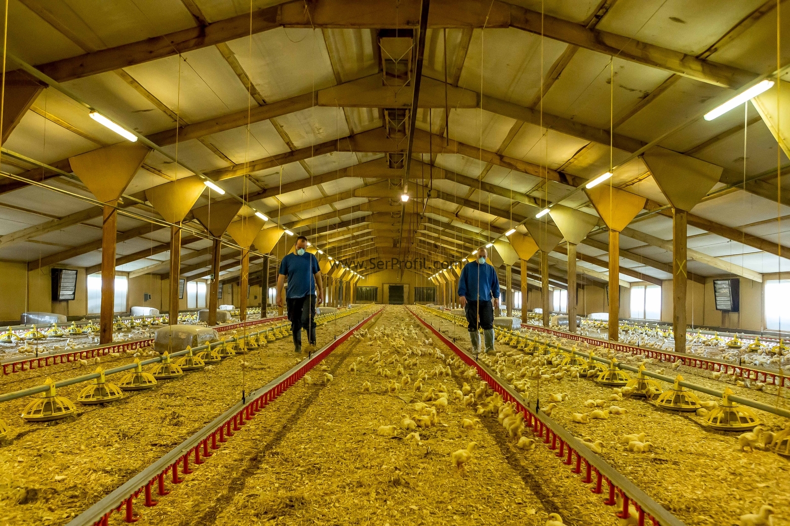 Açık ve Kapalı Besi Çiftliği Kurma Maliyeti 2026