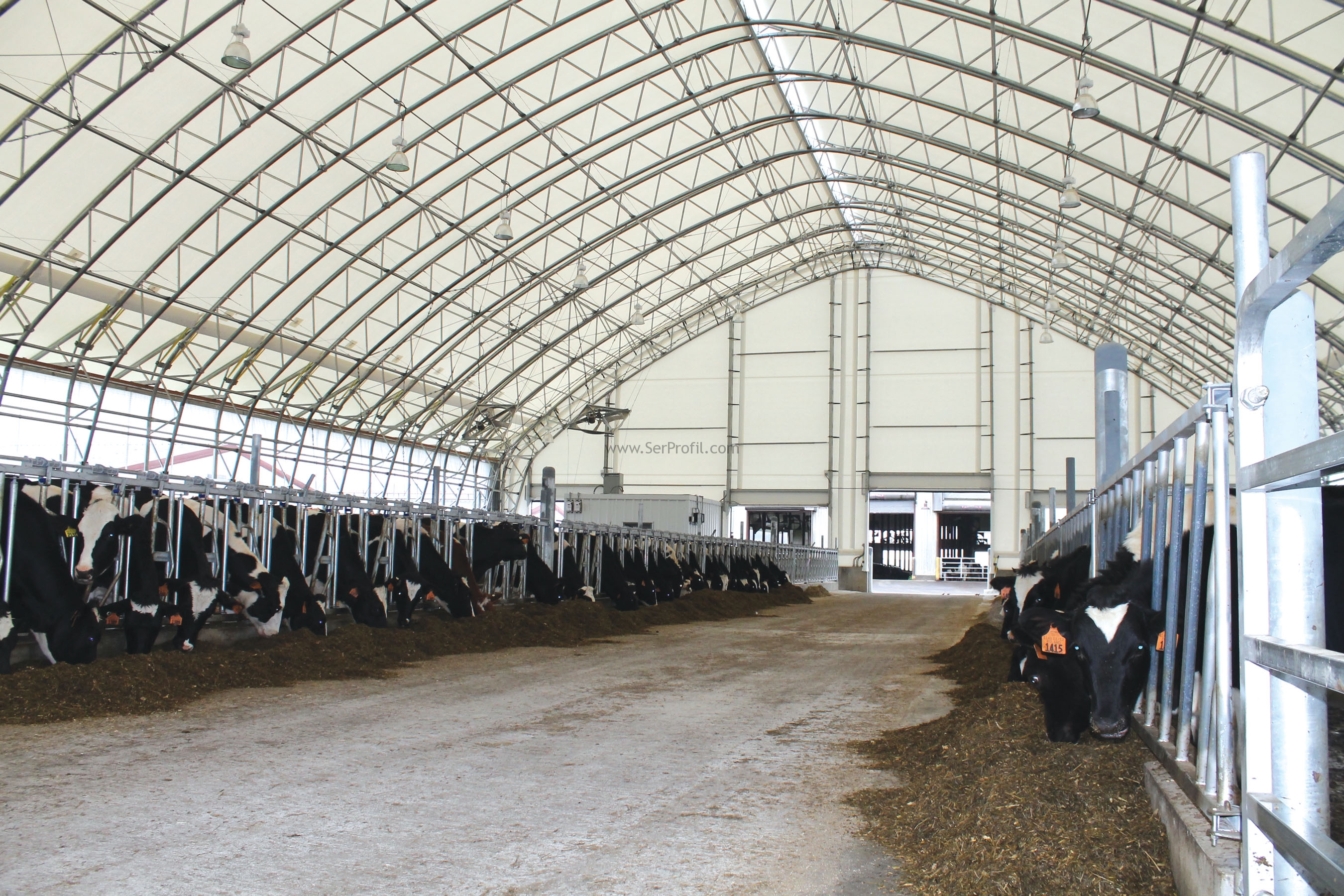 100 Başlık Besi Çiftliği Maliyeti Projeleri ve Anahtar Teslim Yapımı