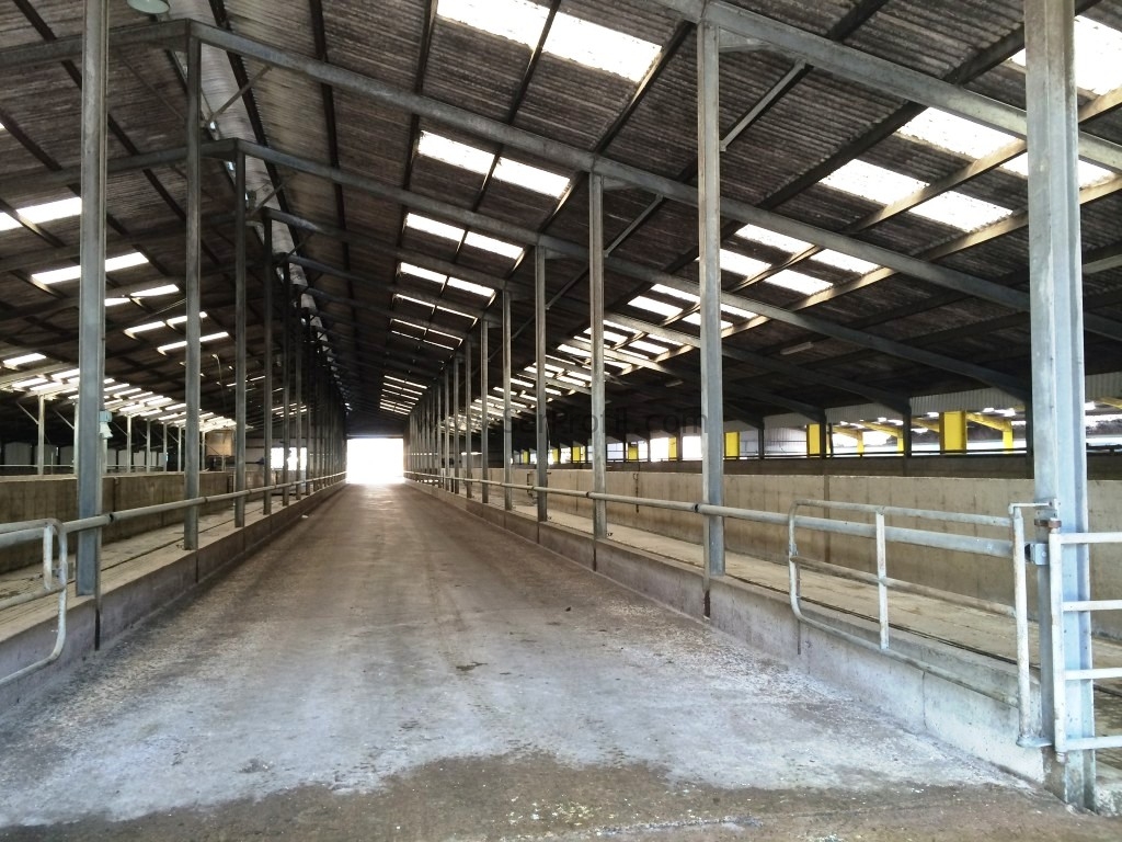 Çelik Konstrüksiyon Prefabrik Ahır Projeleri Yapım Firması Fiyatları
