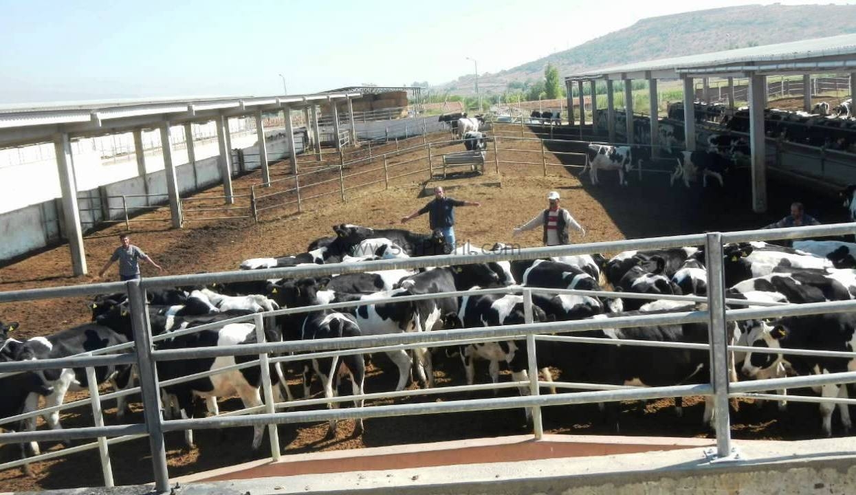 Devlet Destekli Hayvan Ahır Çiftlik Kurma Projeleri Maliyetleri Fiyatları 2026
