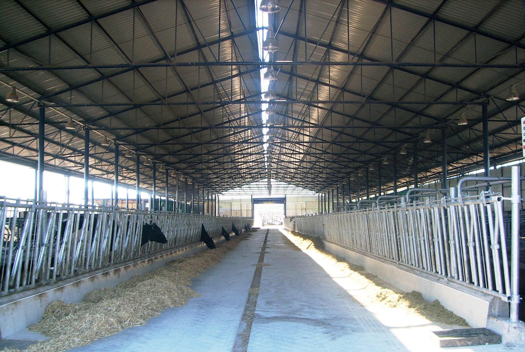 Ahır Maliyeti Hesaplama, 50 Başlık Ahır Projeleri Fiyatları