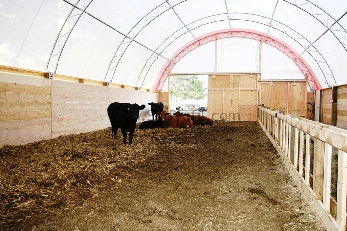 Prefabrik ve Çelik Tavuk Kümesi, Anahtar Teslimi Tavuk Çiftliği Yapan Firmalar