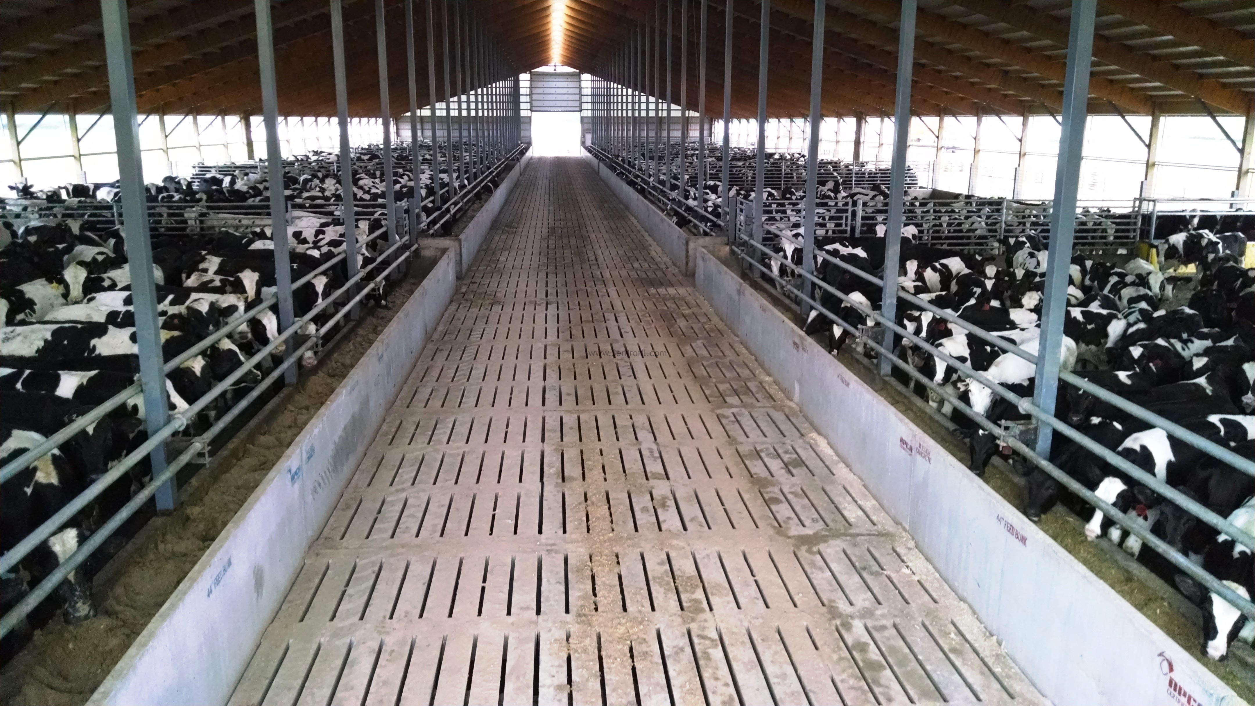 Serbest Duraklı Açık Kapalı Çelik Çatılı Büyükbaş Hayvancılık Ahır Yapımı Fiyatları