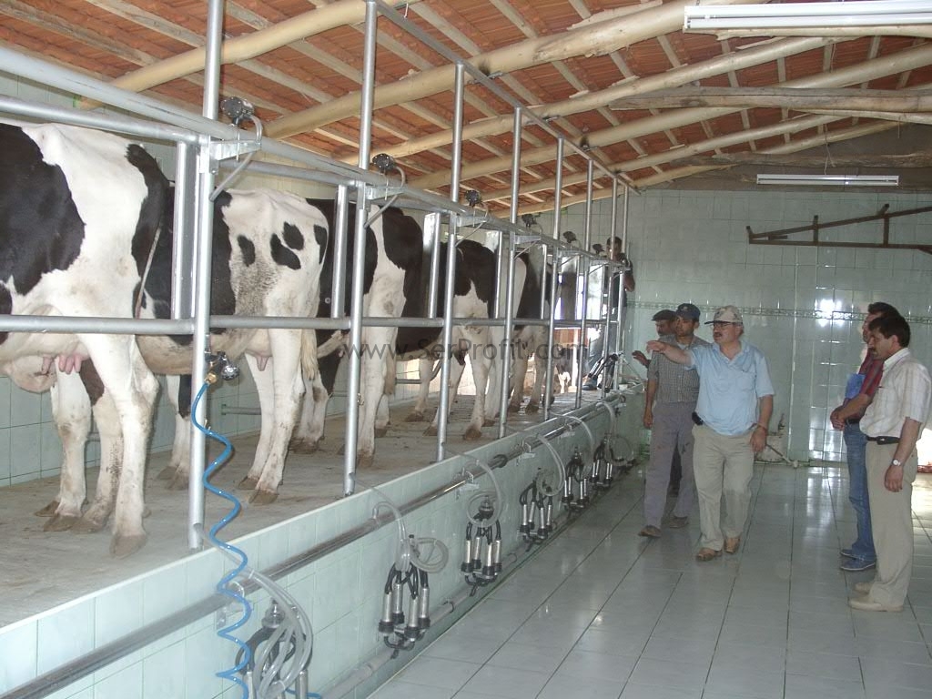 Anahtar Teslimi Prefabrik Besi Ahırları Fiyatları
