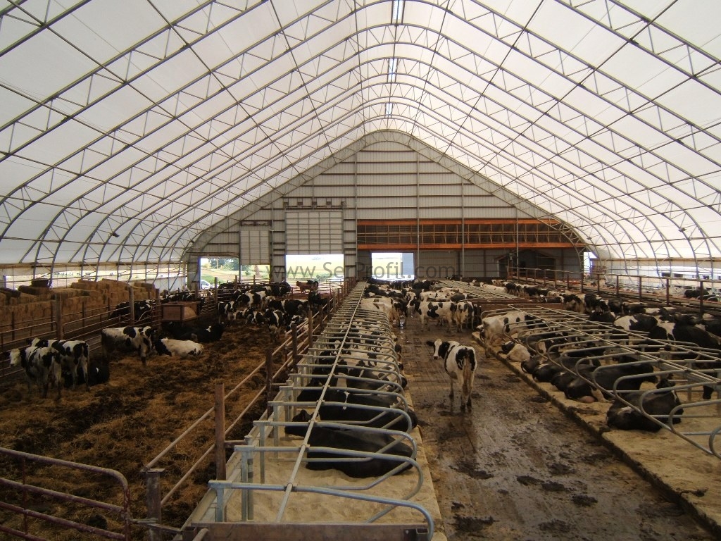 Hayvan Çadırı, Büyükbaş Küçükbaş Yüksek Büyük Hazır Çadır Fiyatı