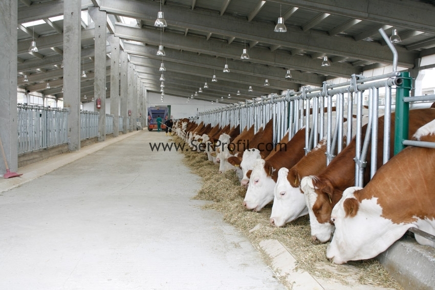Hazır Prefabrik Anahtar Teslim Tavuk Kümes Fiyatları