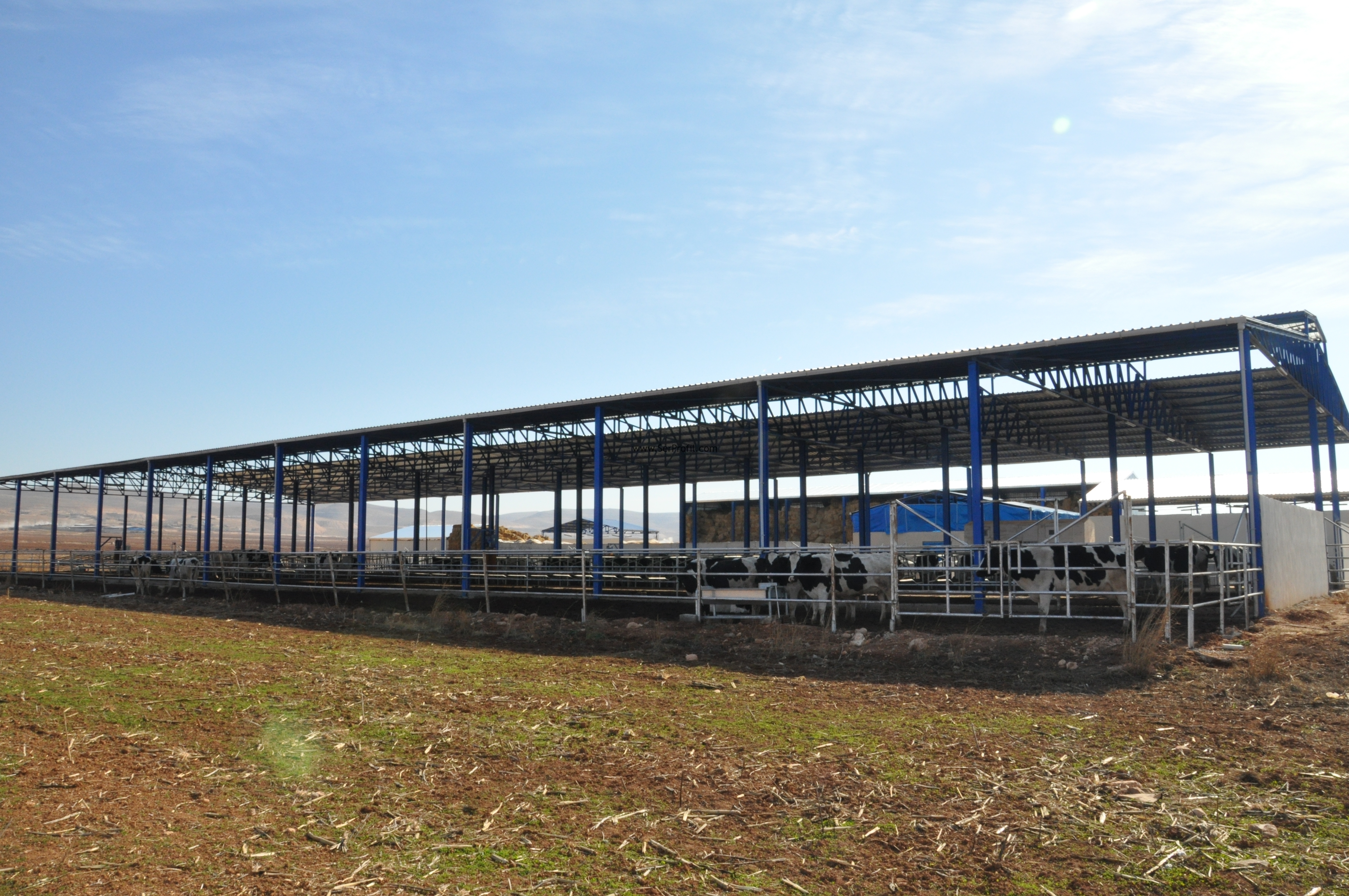 Büyükbaş Hayvan Çiftliği Prefabrik, Büyükbaş Ahır Maliyeti
