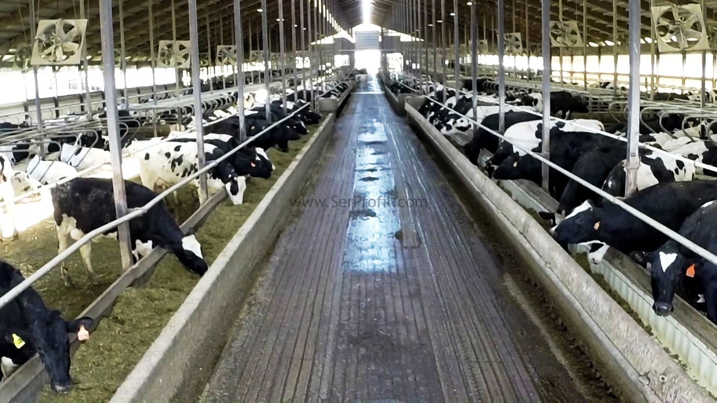 Ahır Izgaraları, Ahır İçin Plastik Izgara, Beton Izgara, Ahşap Izgara