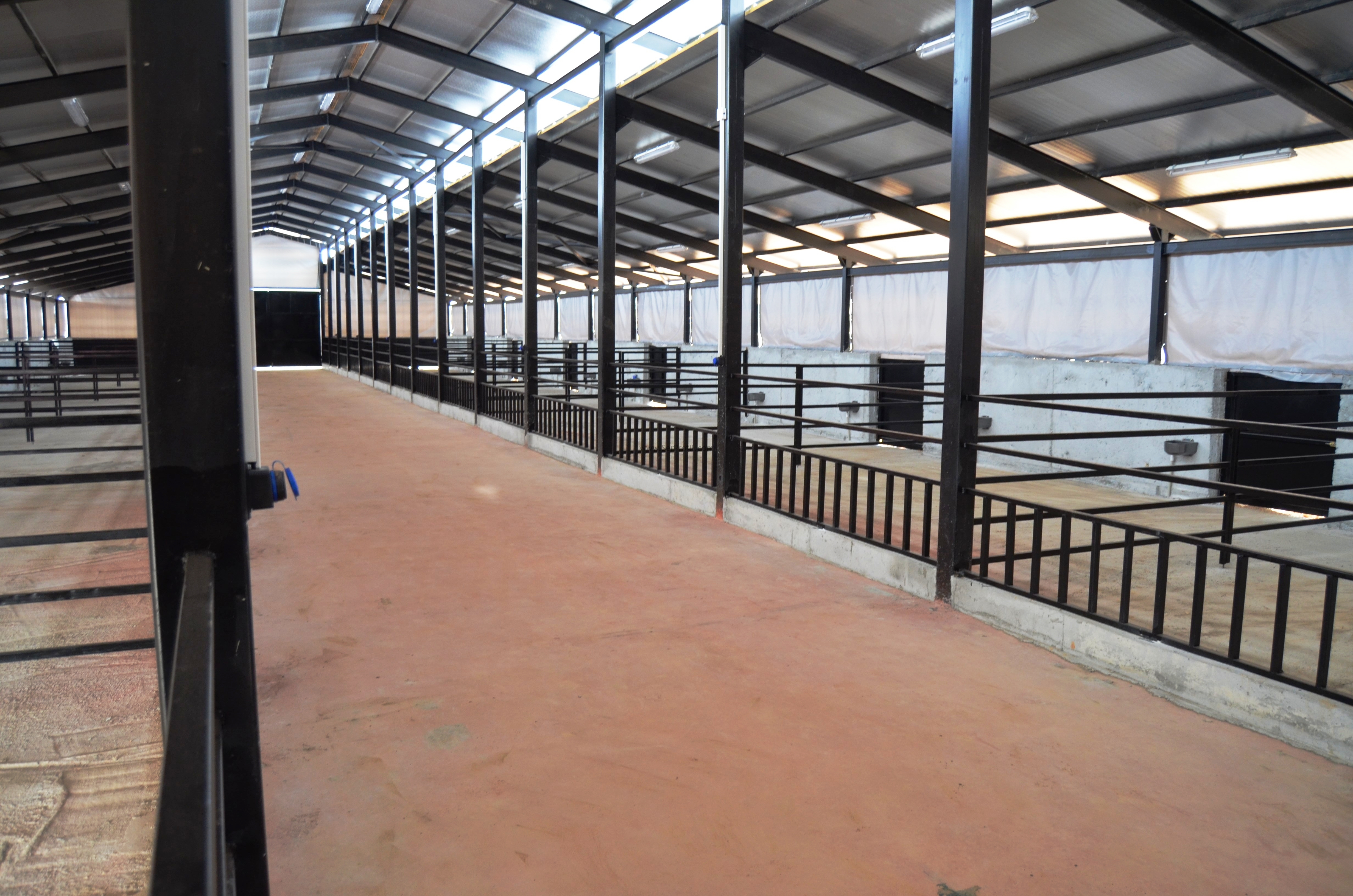 Sahibinden Prefabrik Ahır Yapımı Proje, Çelik Ahır Projeleri, Çelik Ahır m2 Fiyatları