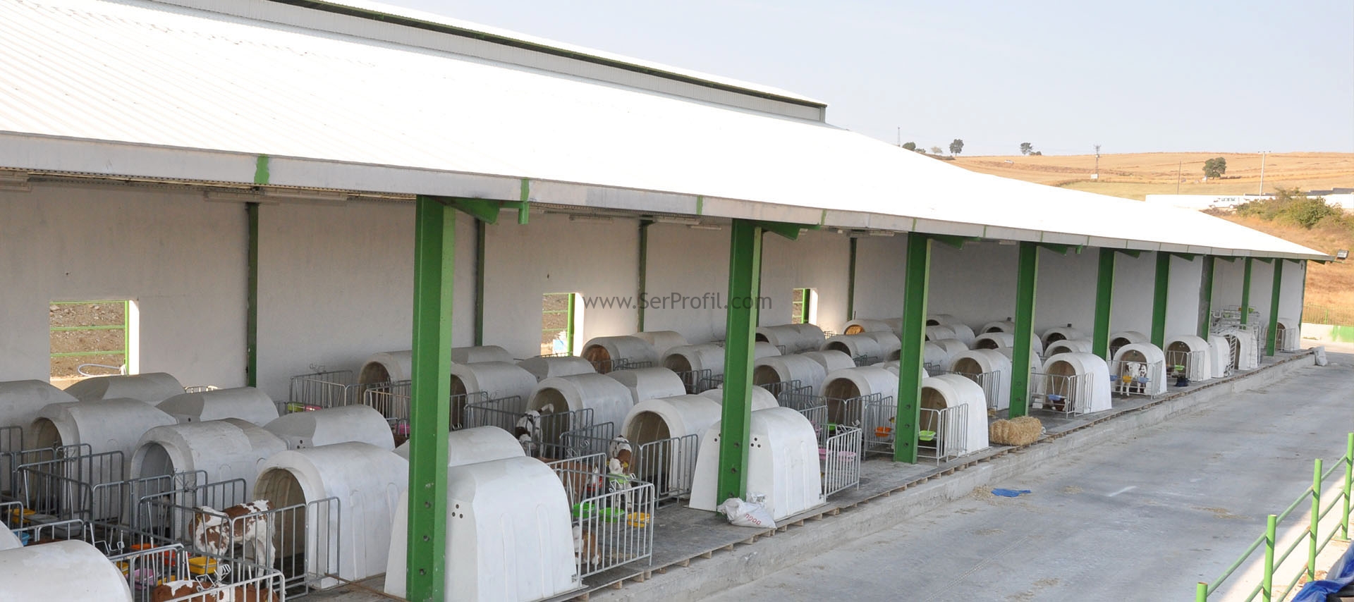 Hibeli Çiftlik İçin 50 Büyükbaşlık Ahır Projesi ve Maliyetleri Fiyatları 2026