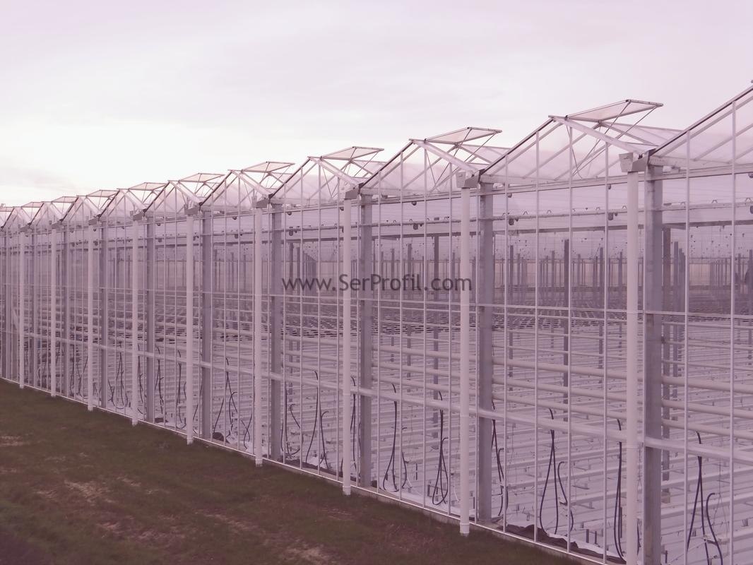 1 Dönüm Sera Maliyeti Projeleri Fiyatları 2026