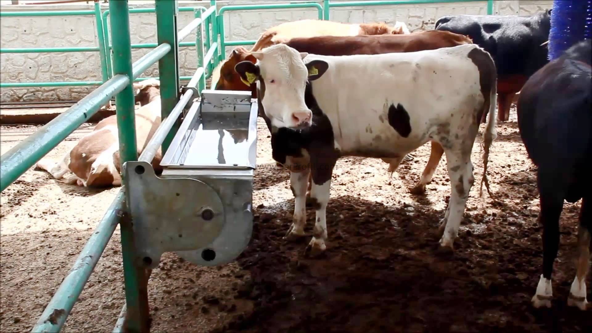 Ahır Çatı Kaplama Malzemeleri, Çelik Konstrüksiyon Ahır Maliyeti