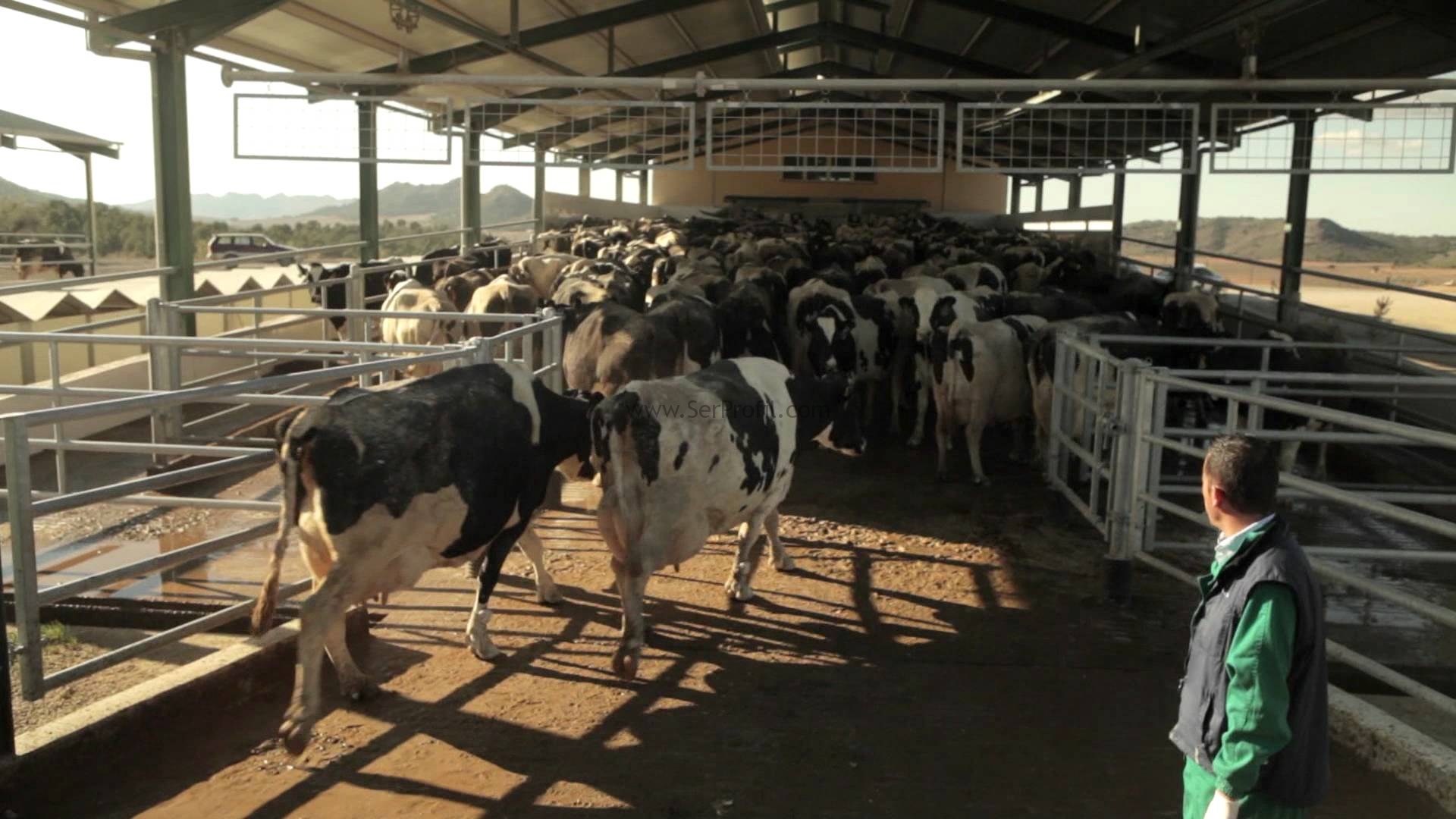Çiftlik Projeleri Anahtar Teslim Yapım Maliyeti Fiyatları 2026