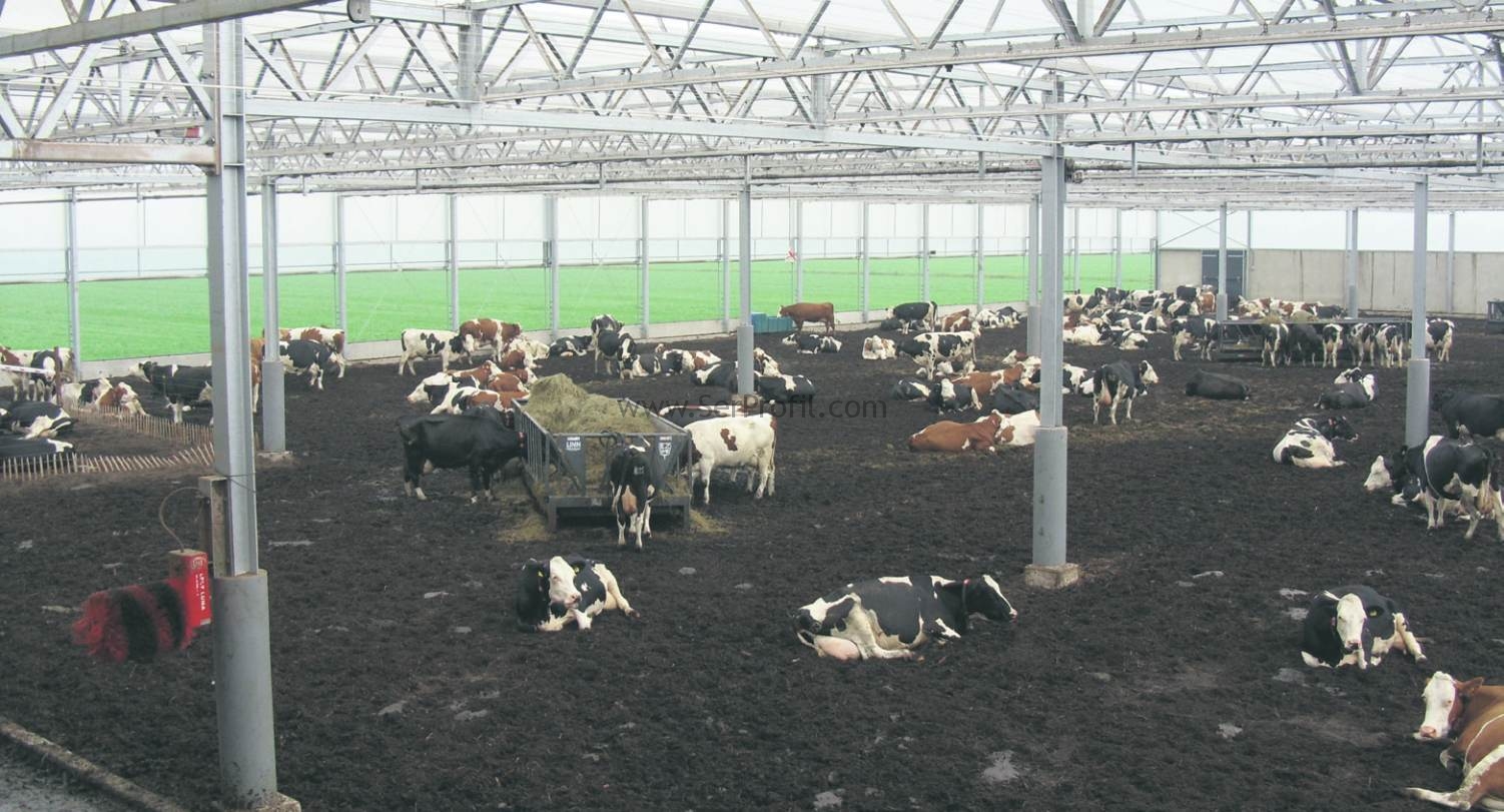 Büyükbaş Padoklu Yarı Açık Sistem Besi Çiftliği Projeleri İnşaat Yapım Fiyatları 2026