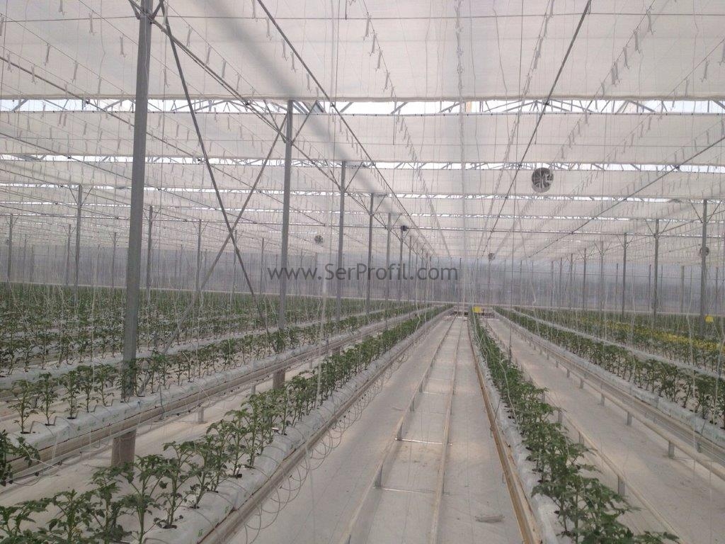 1000 m2 Anahtar Teslim Sera Sistemleri Sera Projeleri Sera Kurulumları Fiyatları