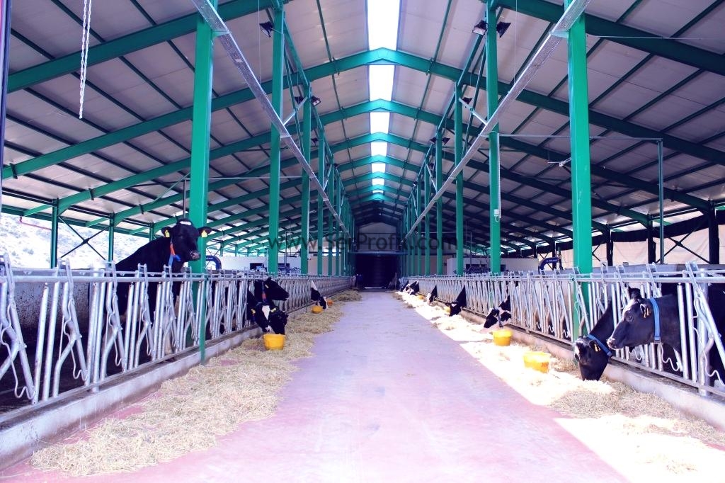 Prefabrik Ahırlar İmalattan Toptan Satış Fiyatları 2026