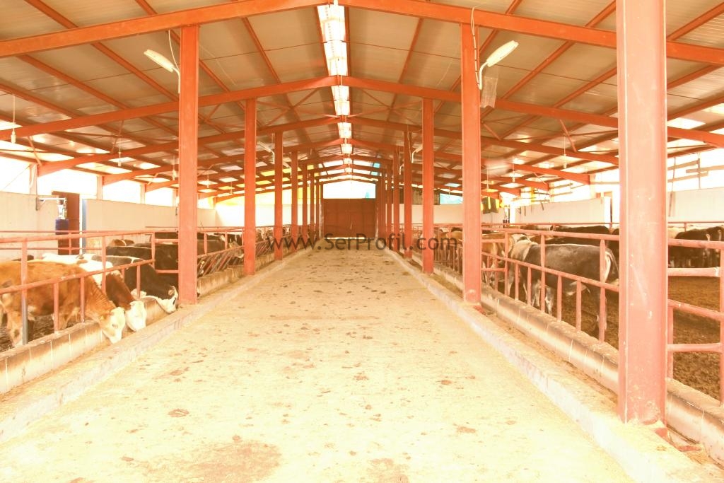 Mandıra Projeleri ve Kurulum Fiyatları 2026