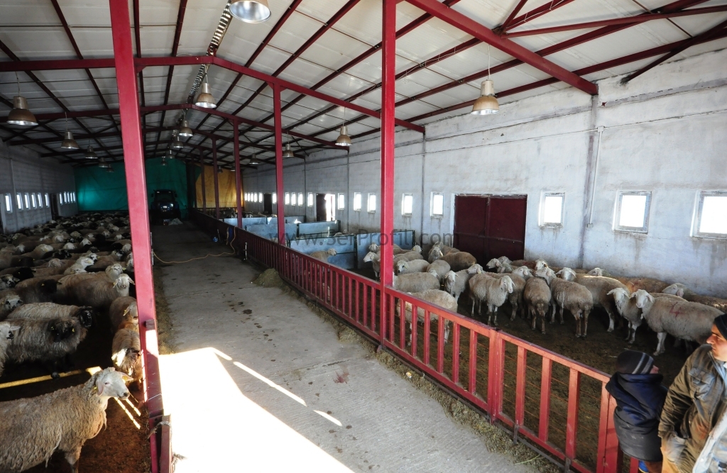 Büyükbaş Hayvan Çiftlikleri Listesi, Hayvan Ahır Proje ve İnşaat Uygulama Firması