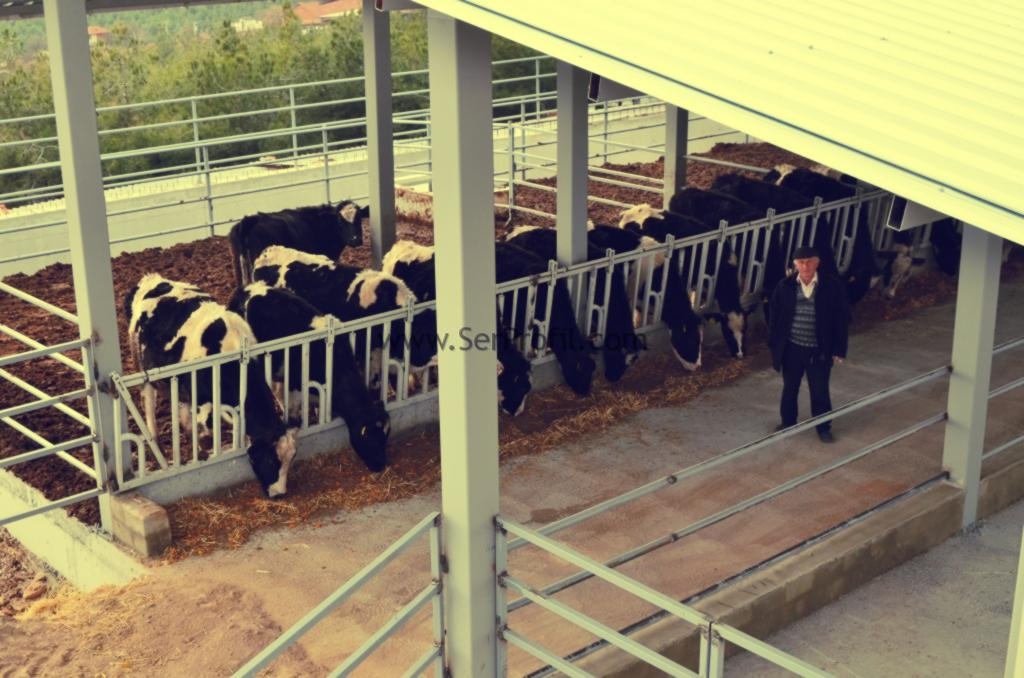Prefabrik Ahır Fiyatları, Hazır Çelik Konstrüksiyon Ahır Projeleri