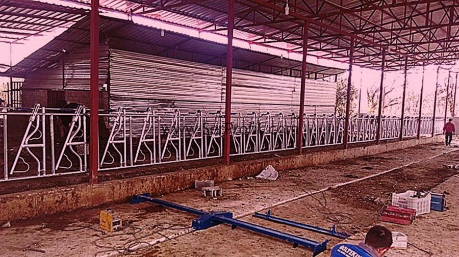 Büyükbaş Besi Çiftliği Projeleri Maliyeti, Modern Ahır Yapımı