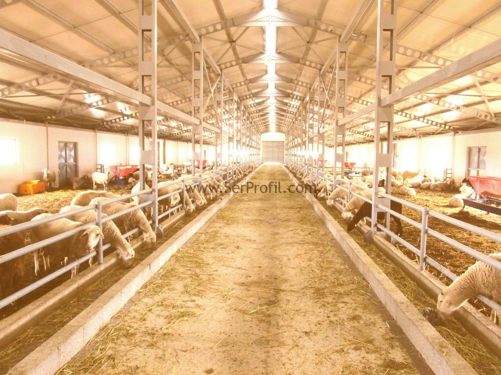 Kapalı Sistem Büyükbaş Besi ve Süt Sığırcılığı Ahırları Çiftlik Projeleri Fiyatları