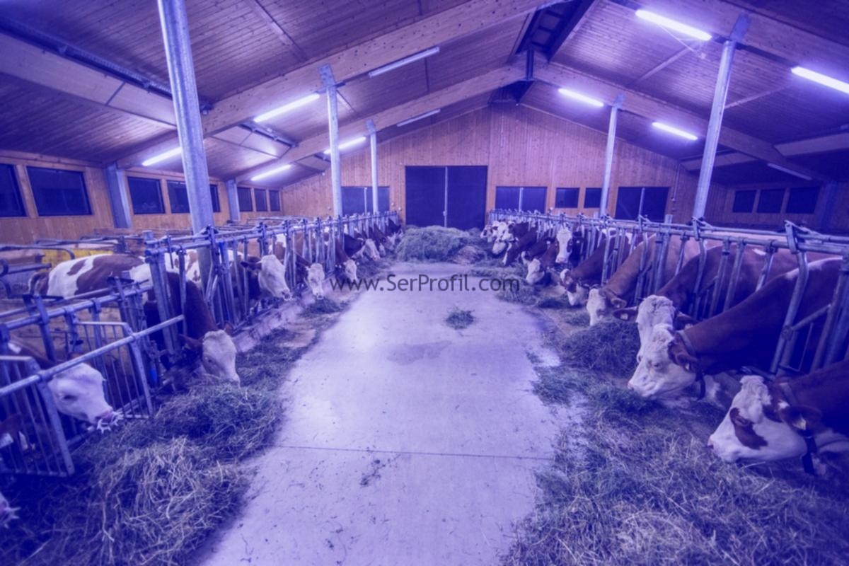 Devlet Destekli Hayvancılık Çiftlik Mandıra Projeleri Anahtar Teslim Fiyatları 2026