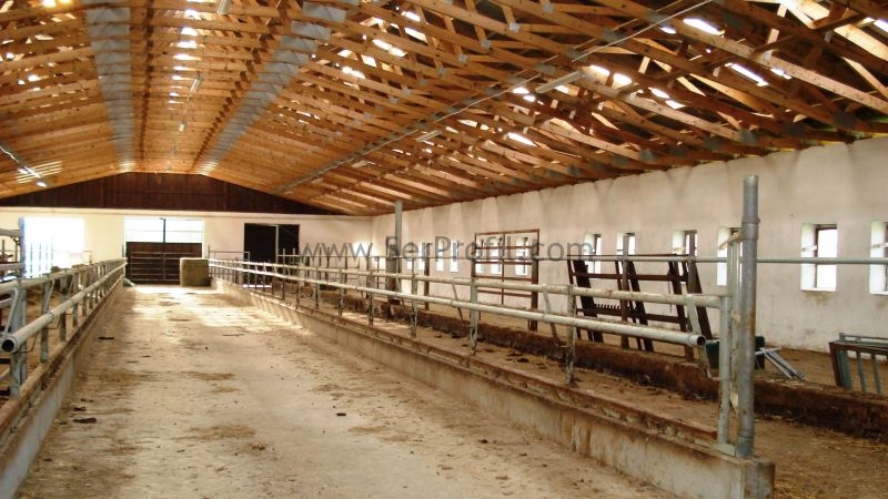 Büyükbaş Besi Çiftliği 3000 m2 Maliyetleri Anahtar Teslim