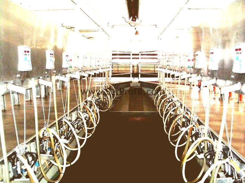 Ahır Yapan Firmalar, Anahtar Teslim Ahır Yapımı Modelleri Maliyetleri Fiyatları