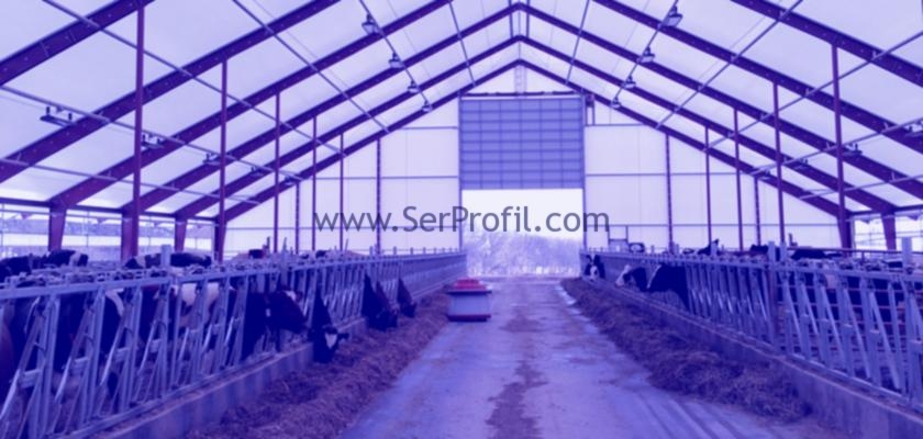 Gebe Düve Büyükbaş Hayvan Modern Besi Ahır Sistemleri Anahtar Teslim Fiyatları