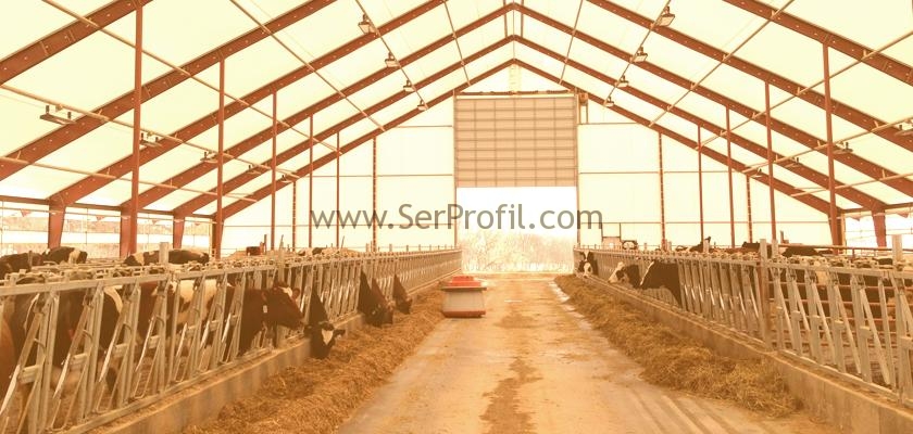 100 Başlık Besi Çiftliği Maliyeti, Besi Ahırı Kurma Projeleri Fiyatları 2026