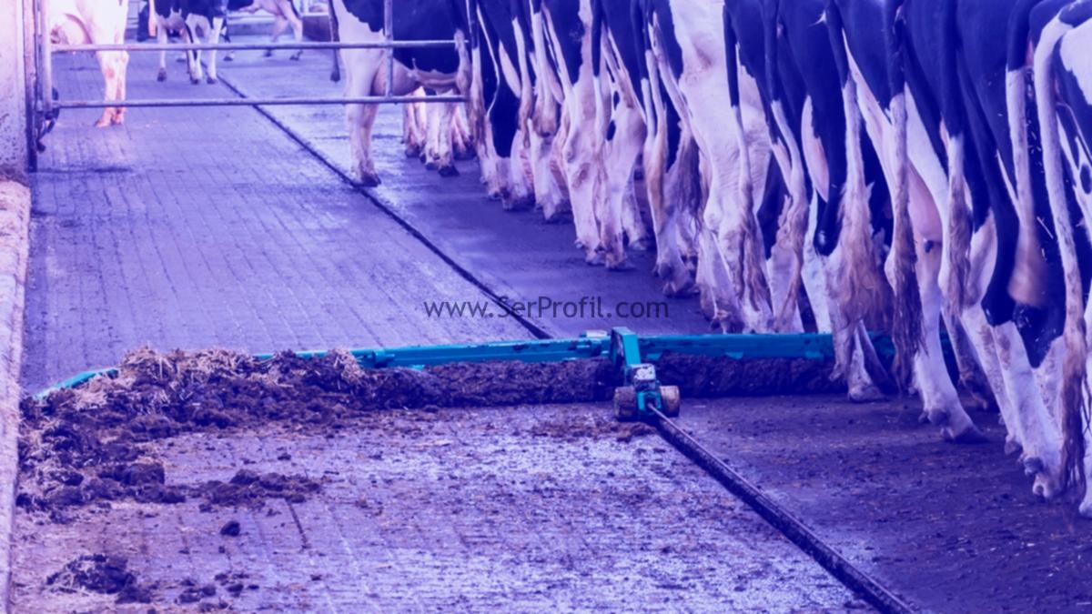 Komple Ahır İmalatı, Çelik Konstrüksiyon Çiftlik Projeleri Yapım Fiyatları
