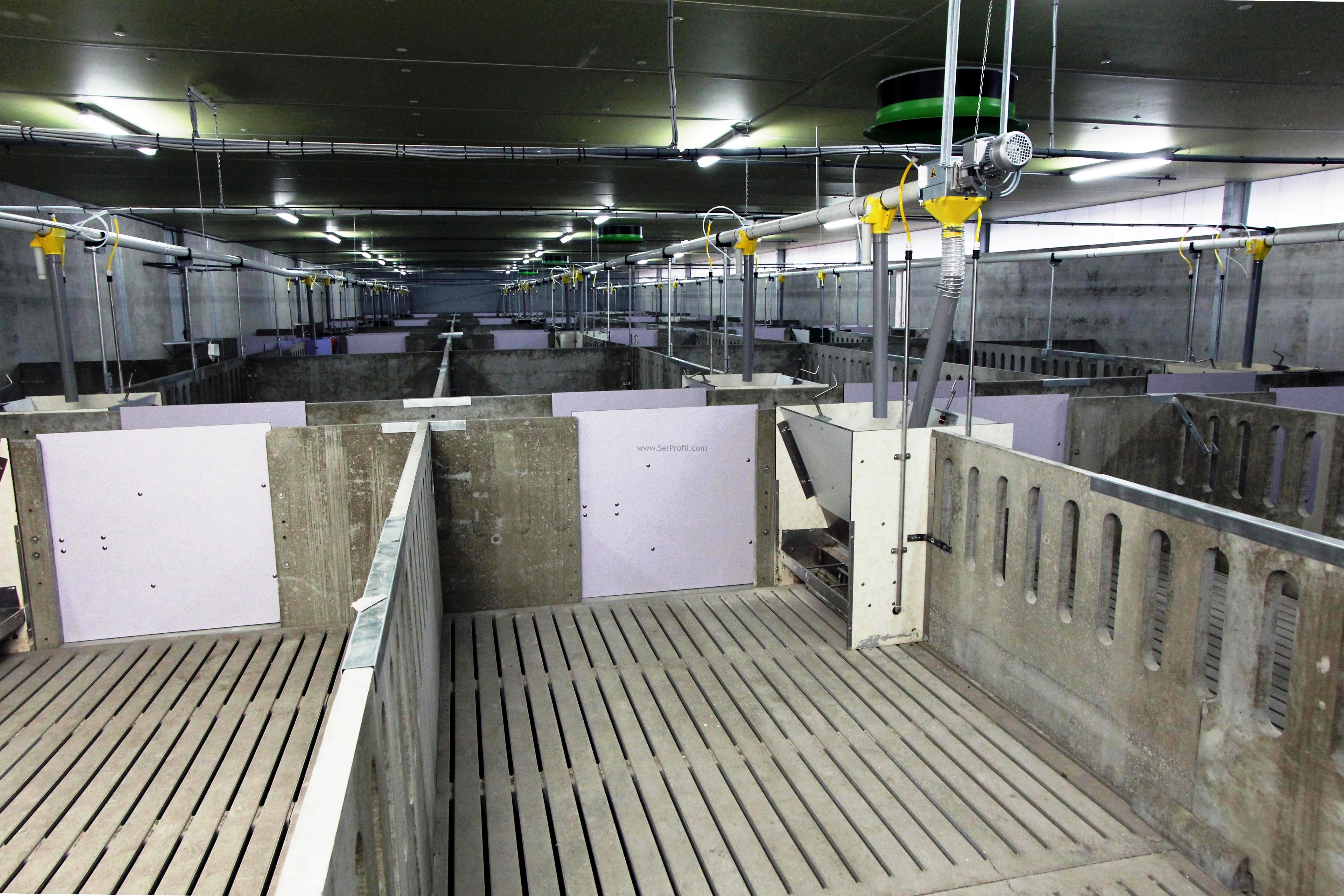 100 Büyükbaş Hayvan Ahır Çiftlik Projesi Full Otomasyon Fiyatları Maliyeti