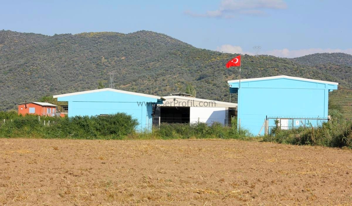 Komple Anahtar Teslim Tavuk ve Ekipmanlar Dahil Prefabrik Tavuk Kümesi Fiyatları