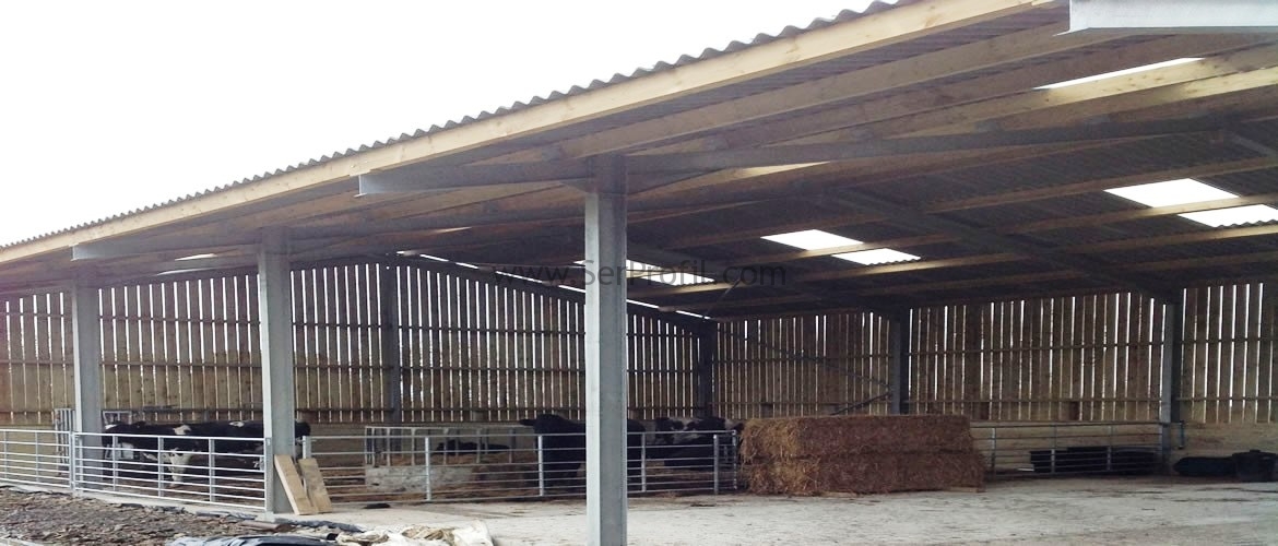 50 Hayvanlık Büyükbaş Besi ve Süt Tip Ahır Projeleri Çizim Planları Fiyatları