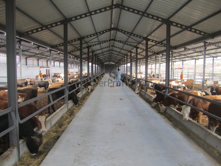 Prefabrik Ahır Yapımı, Çelik İskeletli Hazır Ahır Yapan Firmalar