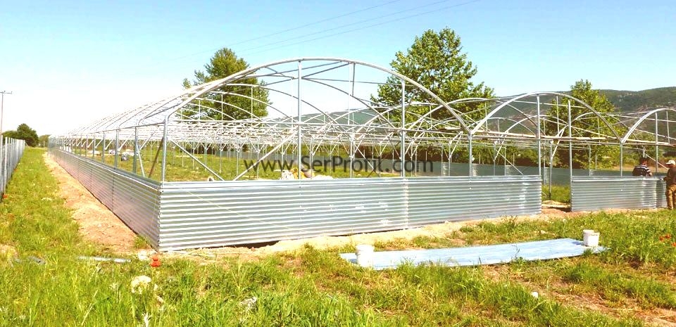 İdeal Sera Ölçüleri Sera Tipleri Sera Projeleri Hazır Sera Fiyatları