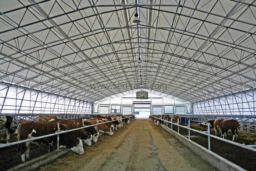 50 Büyükbaş Hayvan Çiftliği Projeleri ve İnşaat Maliyeti Fiyatları 2026