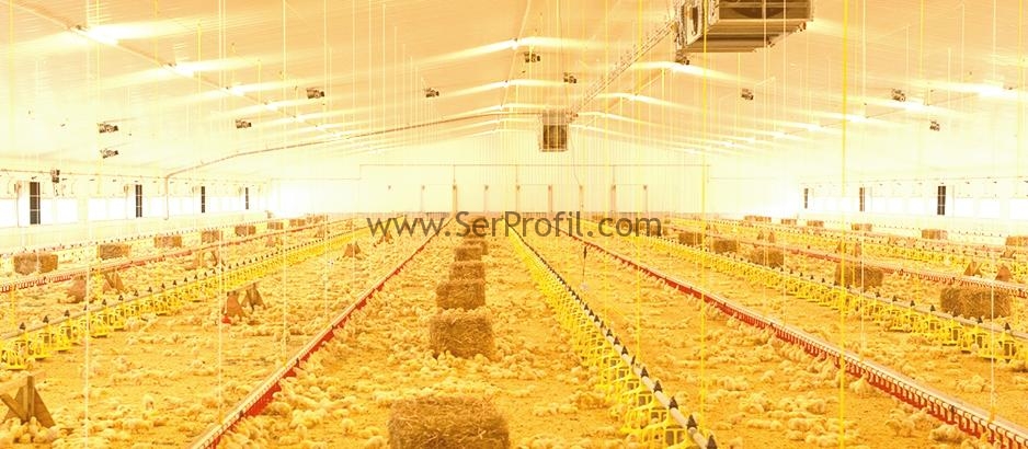 1000 Tavukluk Kümes Fiyatı, Çadır Kümes Çelik Prefabrik Kümes Fiyatları