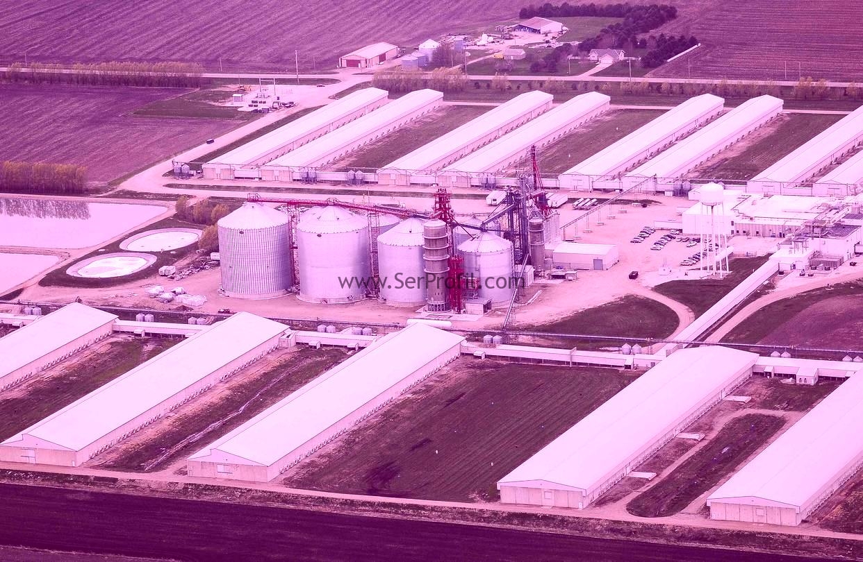 500 Yarka Tavukluk Kümes Fiyatları, Çadır Prefabrik ÇELİK Kümes Fiyatları