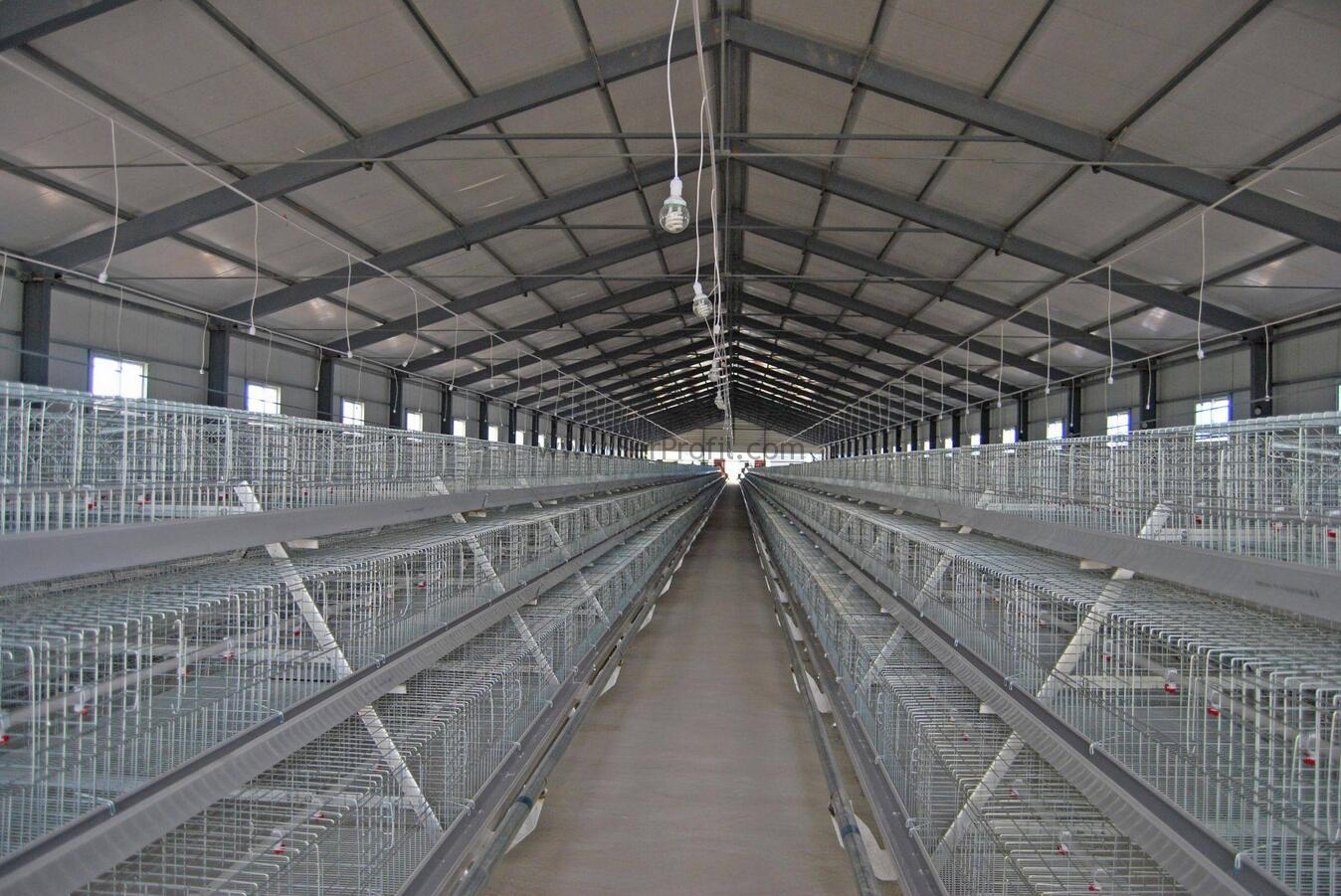 Çelik Konstrüksiyon Kümesler, Çelik İskeletli Sandviç Panelli Yalıtımlı Kümes Fiyatları