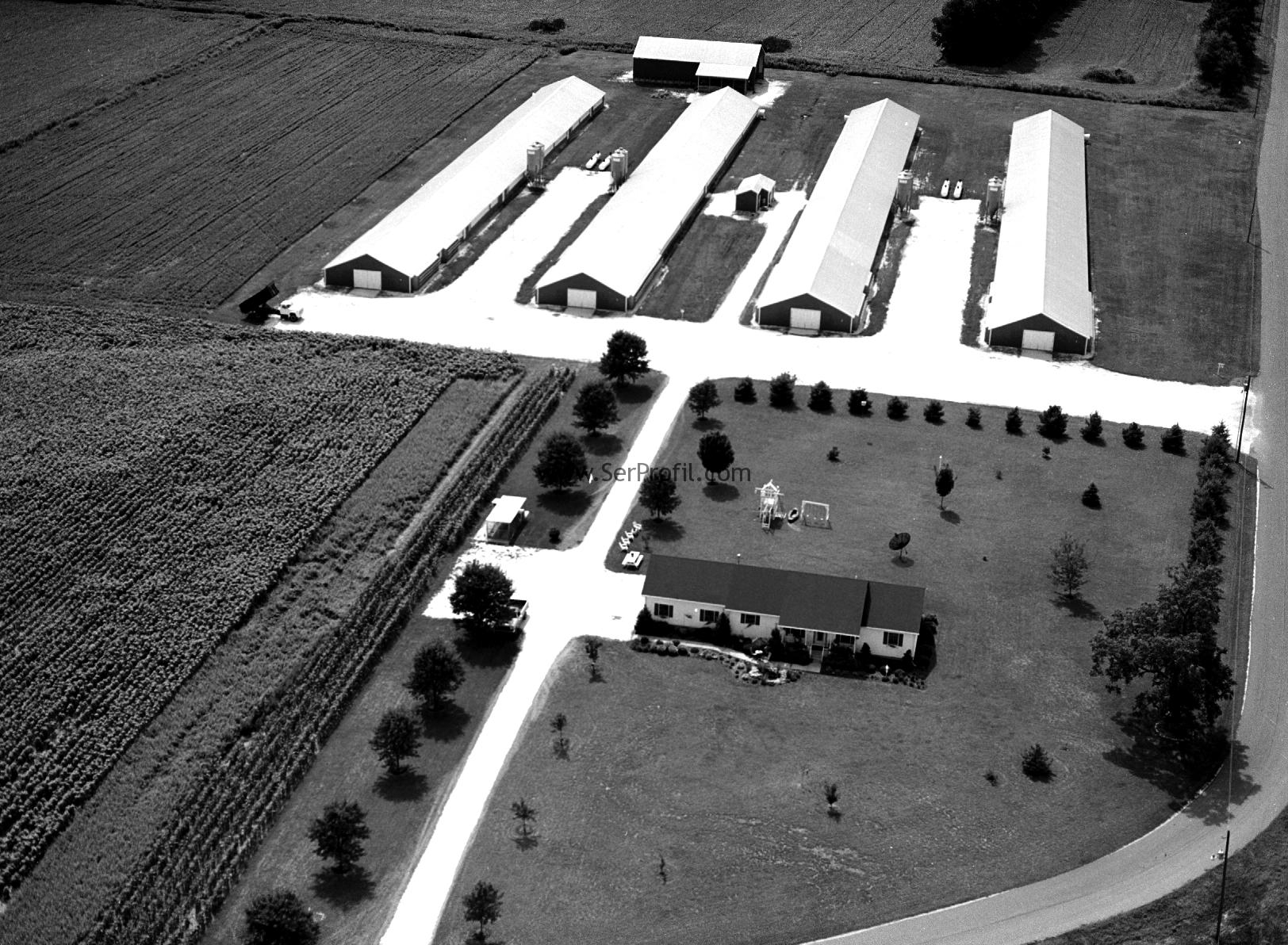 1000 Tavukluk Kümes Çelik İskeletli Prefabrik ve Çadır Anahtar Teslim Fiyatı