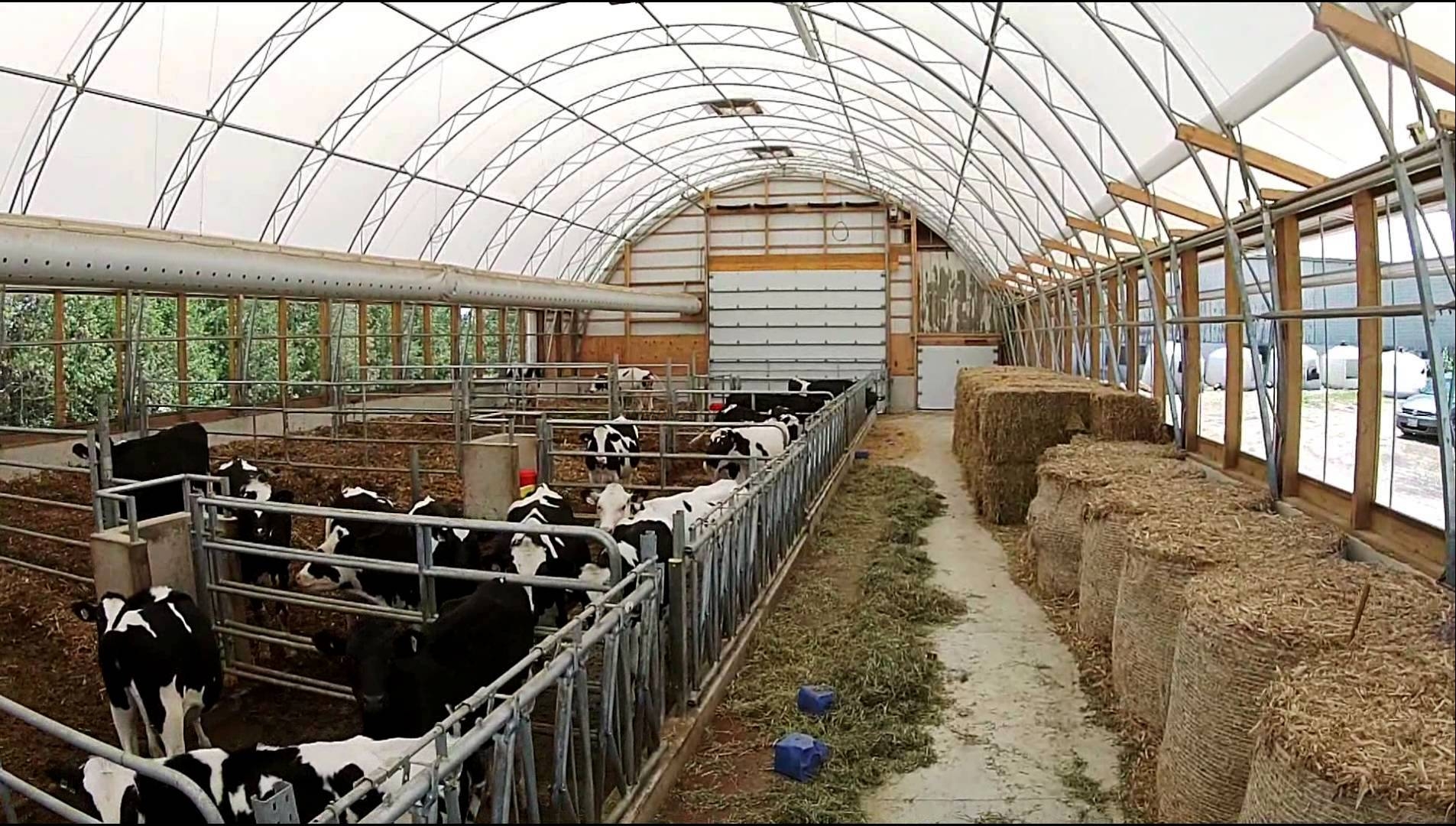 Küçükbaş Büyükbaş Hayvan Çiftlikleri Ahır Projeleri İnşaat Ekipman Maliyeti Fiyatları 2026