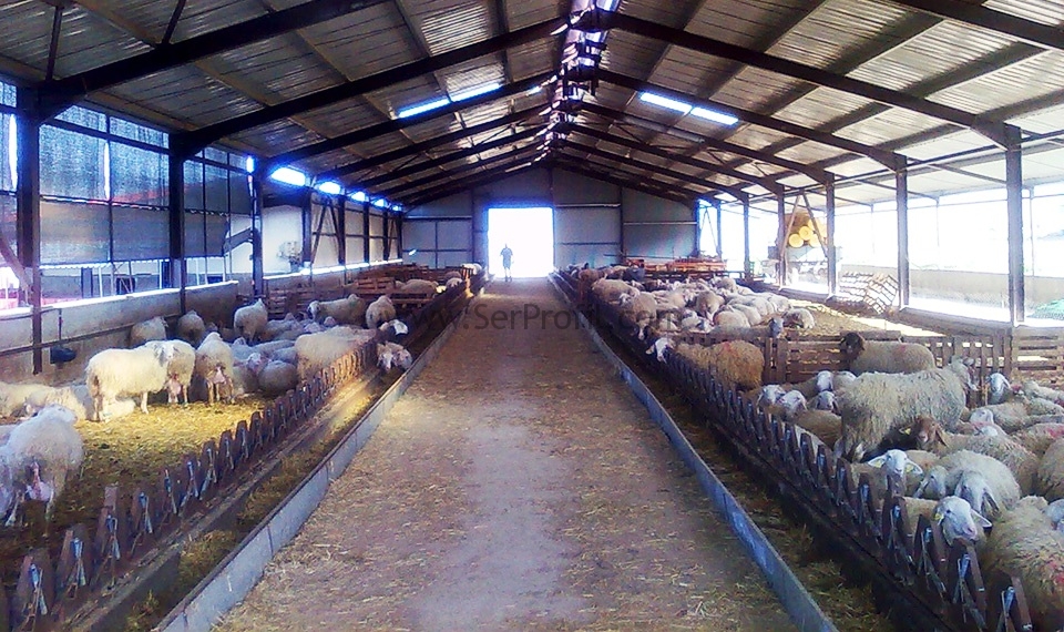 Ahır Proje Örnekleri, 20-2.000 Başlık Ahır Projesi ve Anahtar Teslim Fiyatları