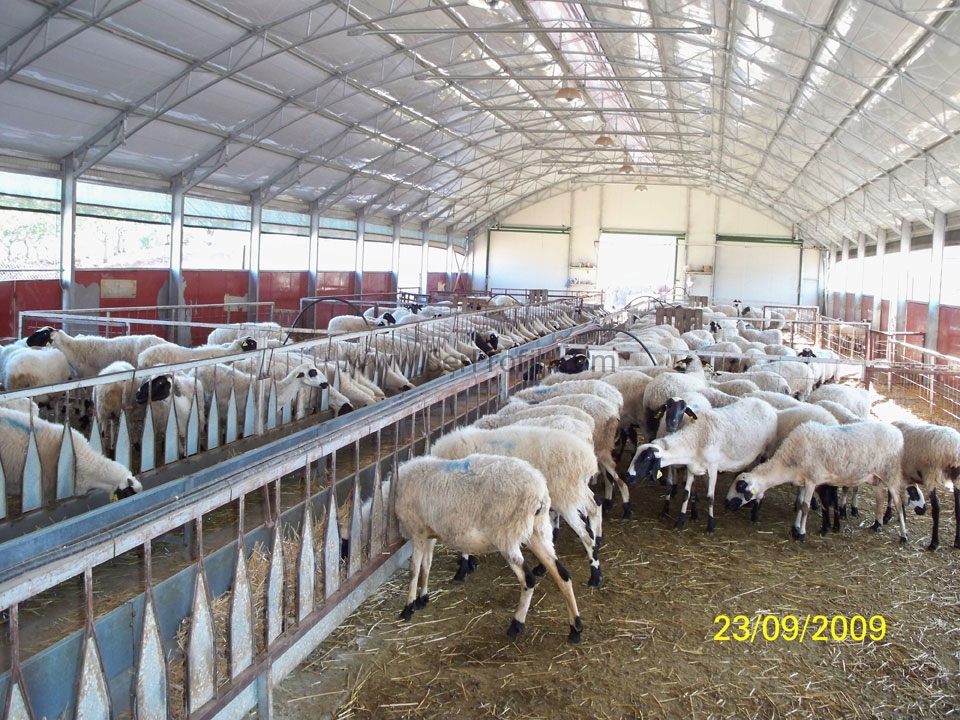 Prefabrik ÇELİK Ahırlar Çiftlik Projeleri ve Anahtar Teslim Fiyatları 2026