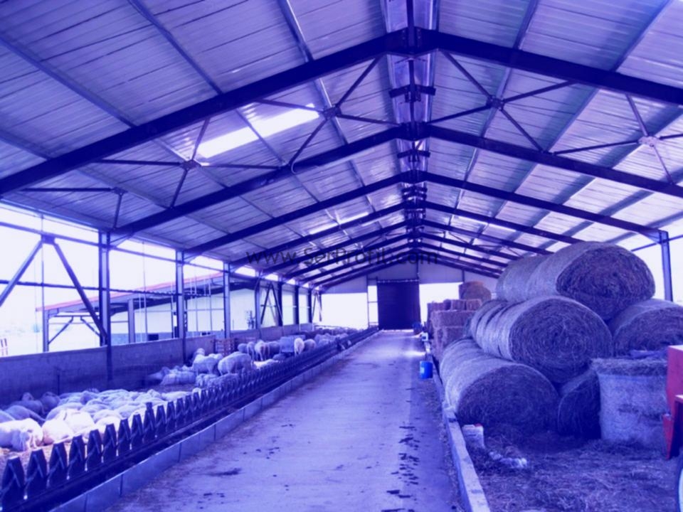 Koyun Keçi Barınağı, Ağıl Tipleri, Ağıl Projeleri ve Yapım Fiyatları 2026