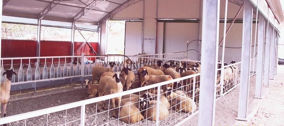 500 Küçükbaş Hayvancılık Sektörüne Verilen Teşvik Destekler İnşaat Fiyatları