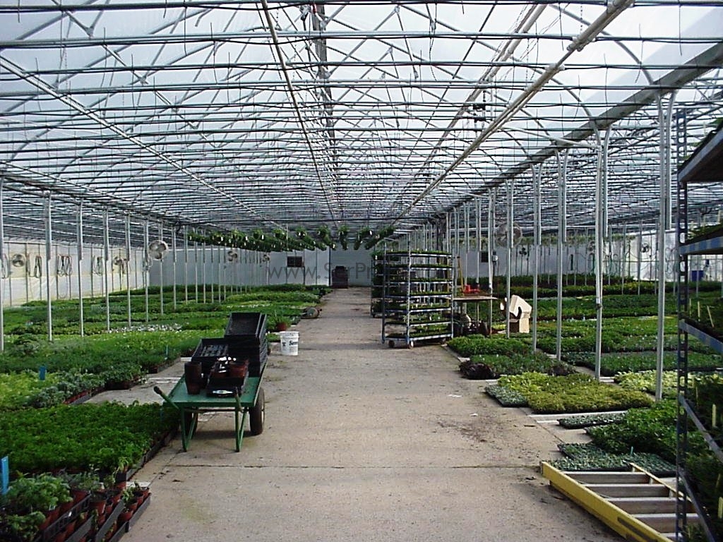1000 m2 Sera Maliyeti Fiyatlarımız