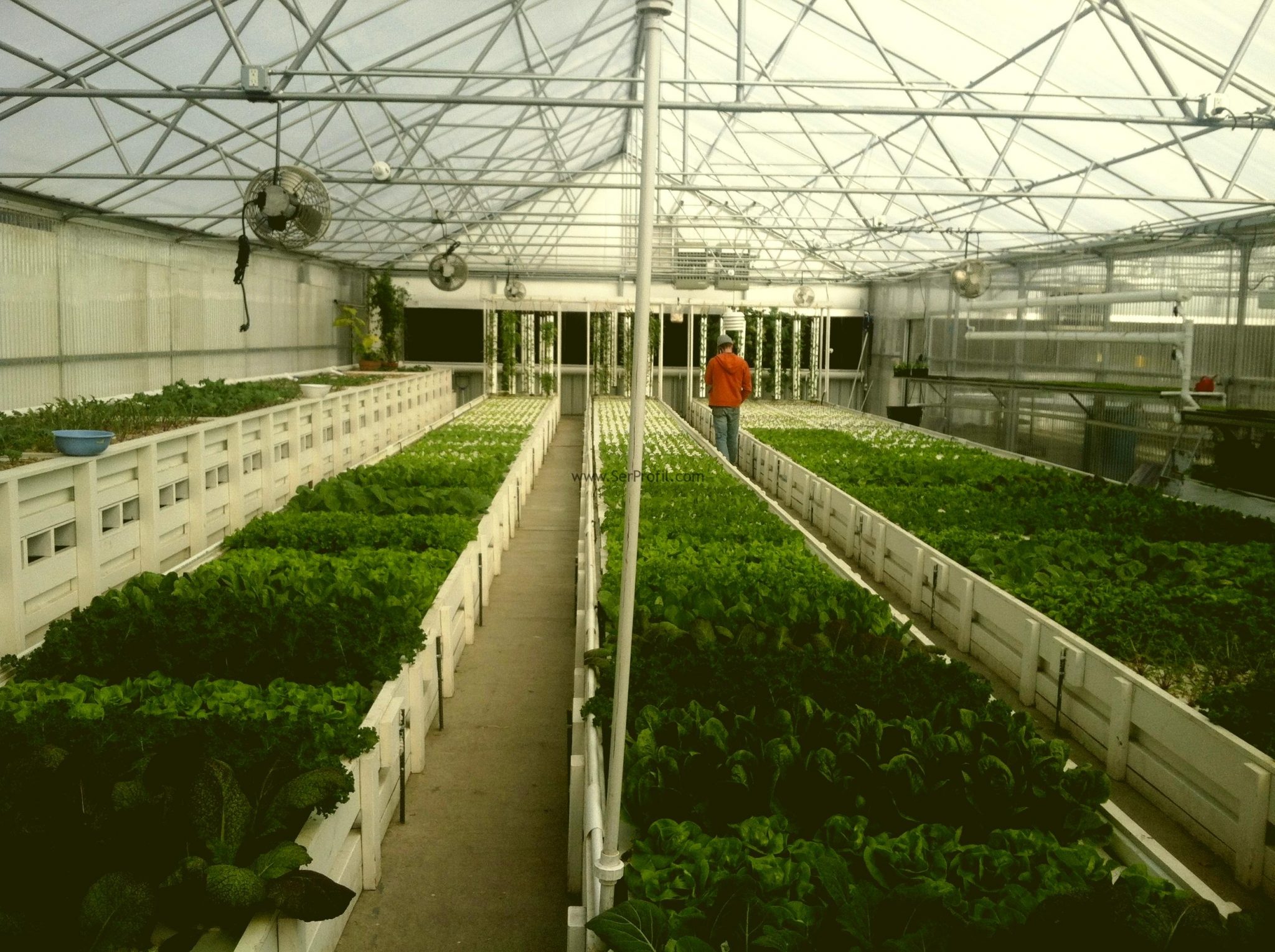 Sera Kurmak Ekonomik Sera Maliyeti Projeleri Fiyatları 2026