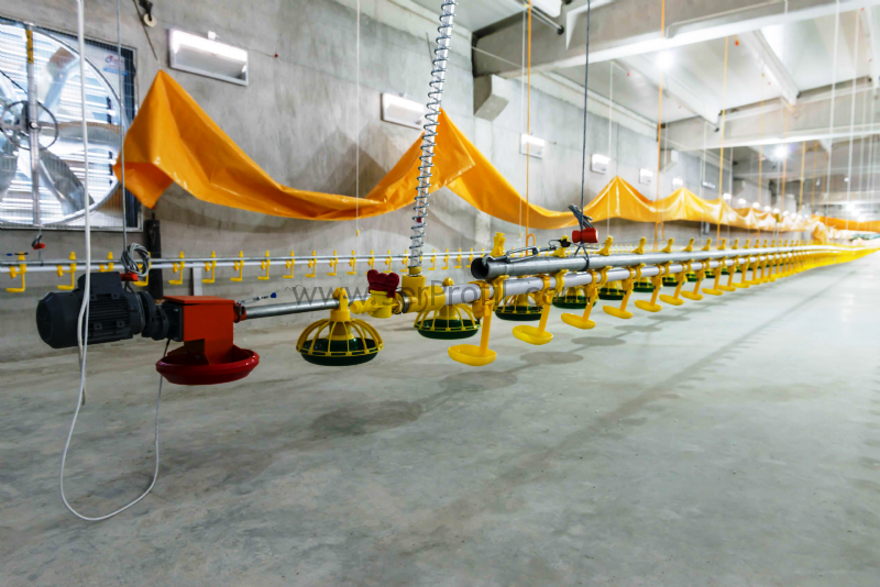 Prefabrik Anahtar Teslimi Tavuk Çiftliği Kümes Yapan Firmalar Fiyatları